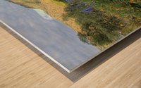 Foothill Spring Wood print