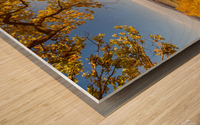Vineyard at Sunset Wood print