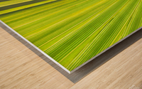 Leaf Wood print