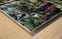 Inside a baby giant tree Wood print