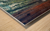 Auto Log- Sequoia National Park  Wood print