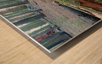 Moss Wood print