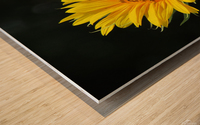 Sunflower Wood print