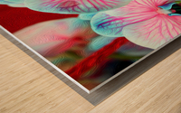 Orchid 6 Wood print