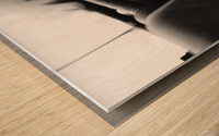Curves Wood print