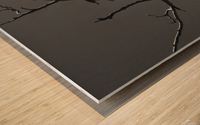 Bare Bones Wood print