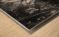 Silent Observers Wood print