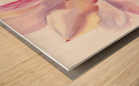 Magnolia Flower square Wood print