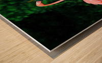 The Flamingo Family Wood print
