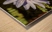 Water Lilies Wood print