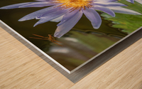 Water Lilies Wood print