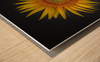   Sunflower  Wood print