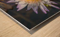   Water Lilies Wood print