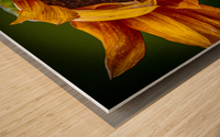 Southern Breeze Wood print