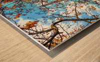 Paris in Autumn Wood print