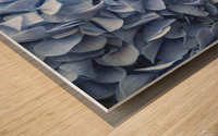 9840 Hydrangea Blue Wood print