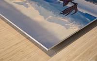 Contemplating Moose Wood print