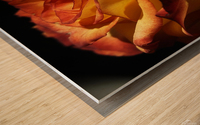 Fiery Rose Wood print