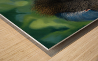 Blue Baboon Wood print