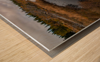 Autumn at the Bog Wood print