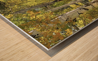 Fall Arrival Wood print