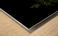 Green Wood print