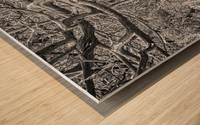 2022 Sept 27 ElliotCouesTrl04 Wood print