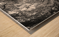 2022 Sept 27 ElliotCouesTrl05 Wood print