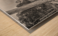 2022 Aug 19 CedarIsleShoreline01 Wood print