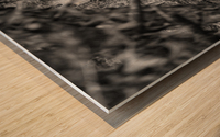 Pssst ...over here. Wood print