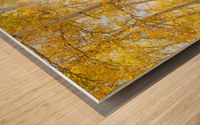 Golden Sunshine Autumn Day Wood print