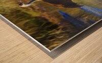 Sandhill Reflection Wood print