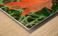 Red Maple Leaf Wood print
