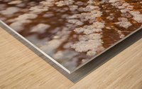 Winter Leaf Wood print