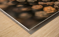 Pepper Wood print