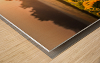 Sunflower Sunrise Wood print