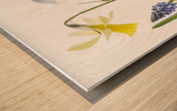 Spring Wood print