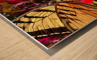 Tiger tail and Nectar Wood print