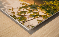 Rock Ledge Sunset Wood print
