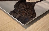 Dancing Eagle Wood print