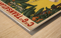 Ligne des Antilles Wood print