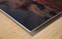 Windswept Wood print
