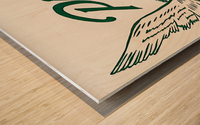 Philadelphia Eagles Metal Sign Wood print