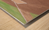 SRP Park Home of the GreenJackets   North Augusta 1675611684.0226 Wood print