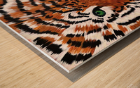 Bengal Beauty Wood print