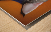 Bella wants to play Wood print