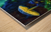 Red Eyed Tree Frog Wood print