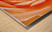 Orange Rose Wood print