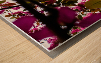 Criss-cross crabApple Sauce Wood print
