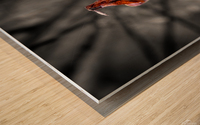 At You Wood print